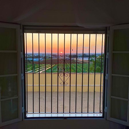 Chalet En Conil, Descansa Y Disfruta โกนิล เด ลาฟรอนเตรา ภายนอก รูปภาพ