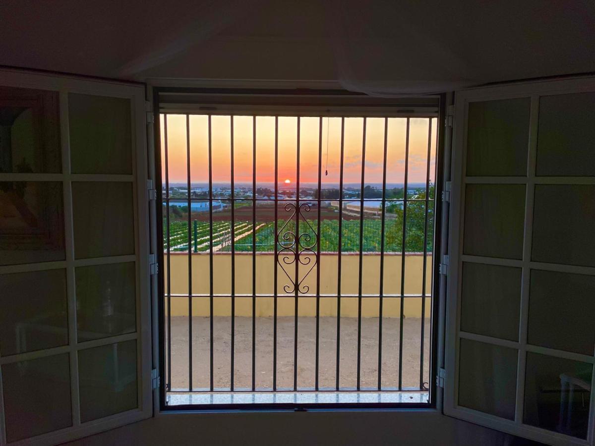 Chalet En Conil, Descansa Y Disfruta โกนิล เด ลาฟรอนเตรา ภายนอก รูปภาพ